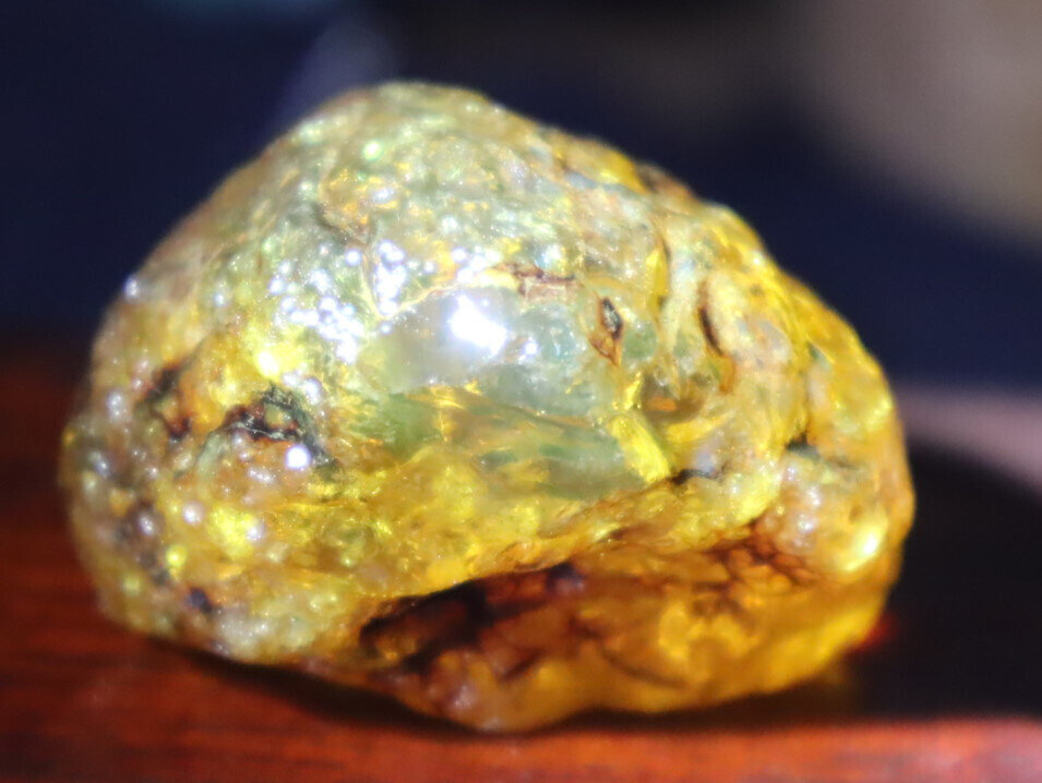 Natural Dominican Crystal Clear Light Blue Yellow Amber Rough Specimen 40mm 20.5 – photo 4