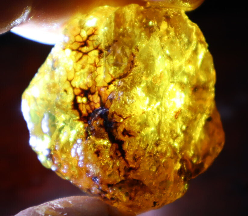 Natural Dominican Crystal Clear Light Blue Yellow Amber Rough Specimen 40mm 20.5 – photo 11