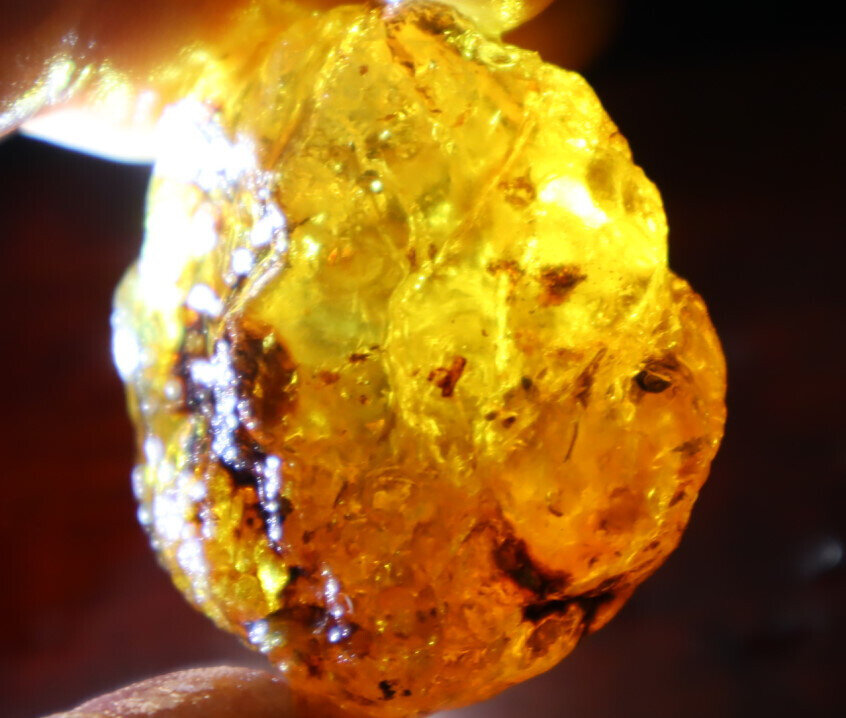 Natural Dominican Crystal Clear Light Blue Yellow Amber Rough Specimen 40mm 20.5 – photo 12