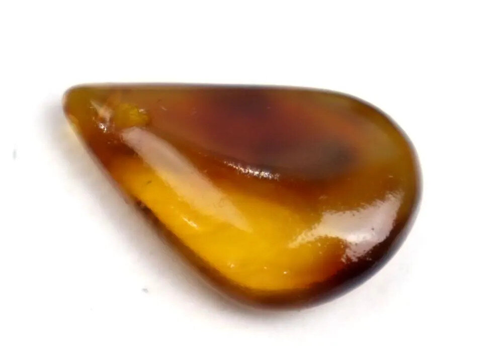 Impressive Drilled Natural Dominican Crystal Clear Yellow Brown Amber Polished – photo 4