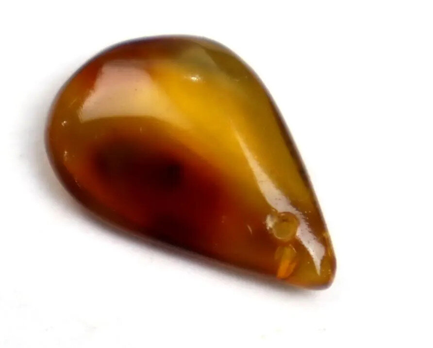 Impressive Drilled Natural Dominican Crystal Clear Yellow Brown Amber Polished – photo 8