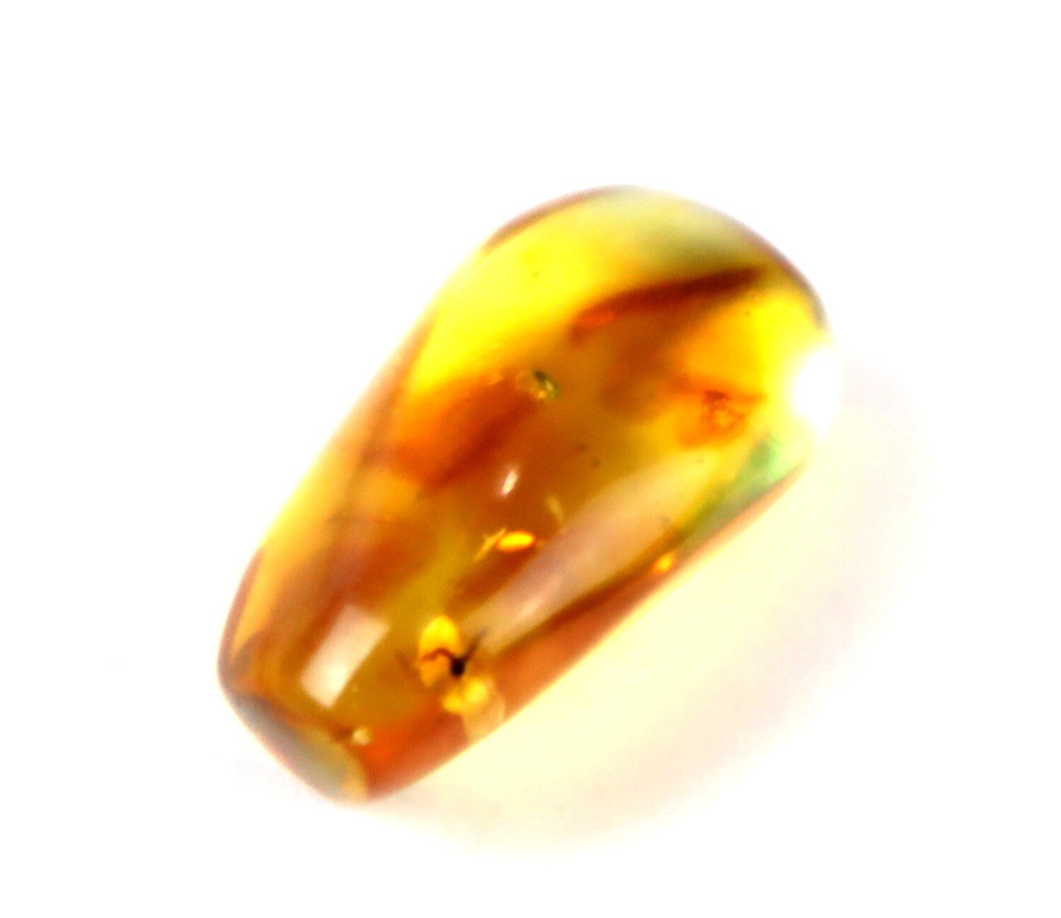Natural Dominican Clear Amber – with Parasitic Wasp Inclusion (Hymenoptera) | 21mm – photo 3