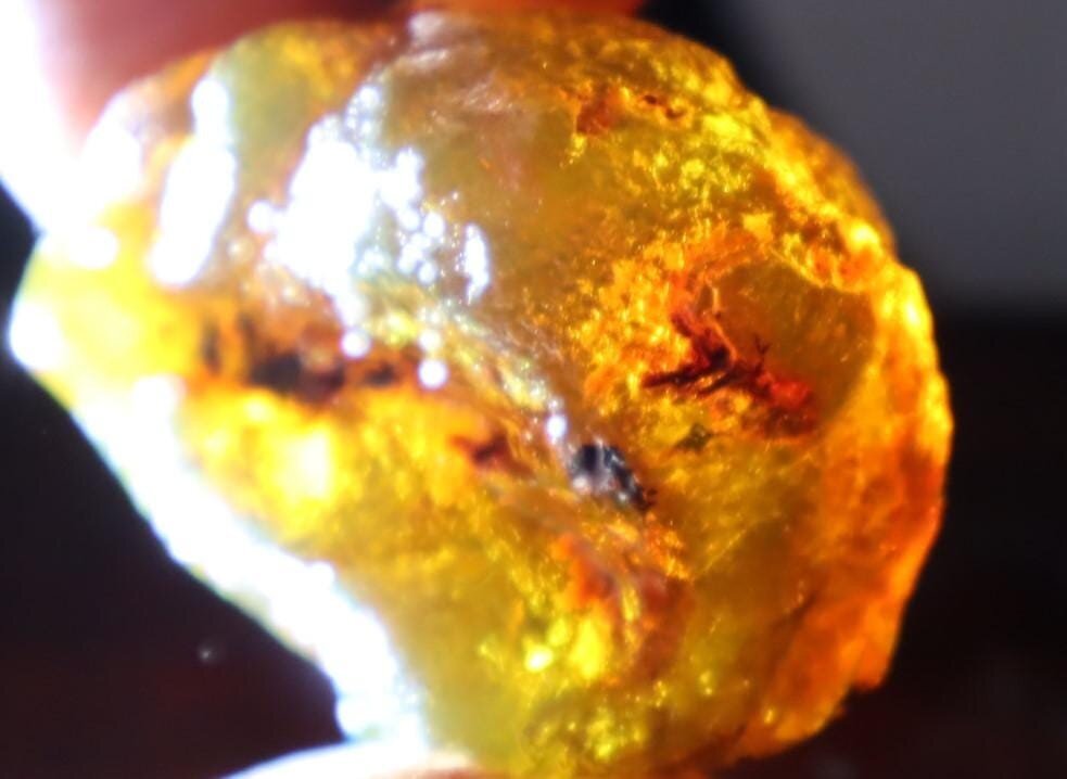 Impressive Natural Dominican Crystal Clear Green Blue Amber Rough Specimen 45mm – photo 11