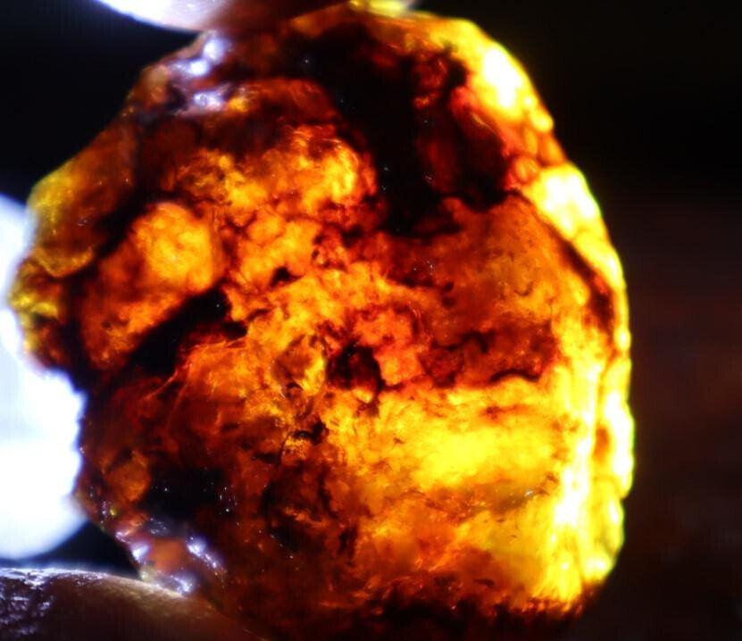 Charming Design Natural Dominican Clear Blue Red Amber Rough Specimen 44mm 14.6g – photo 7