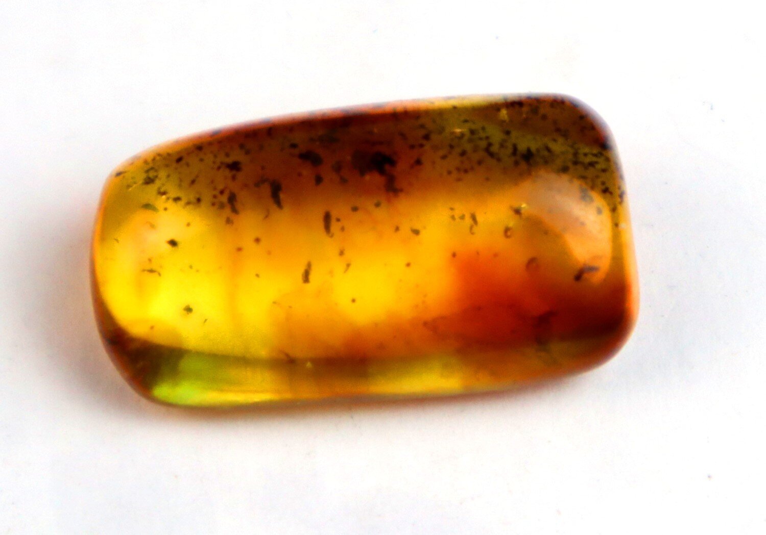 Beautiful Natural Dominican Amber Flying Insect Fossil 24mm – photo 7