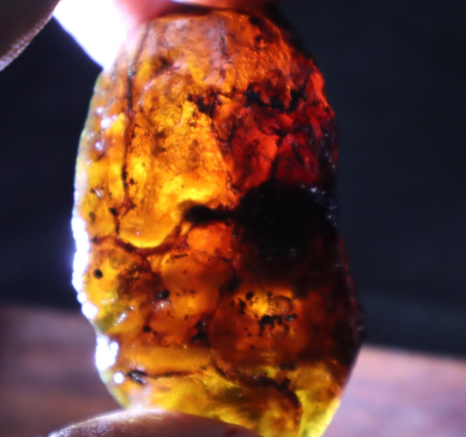 Charming Natural Dominican Clear Green Blue Amber Rough Specimen 58mm 22.2grams – photo 9