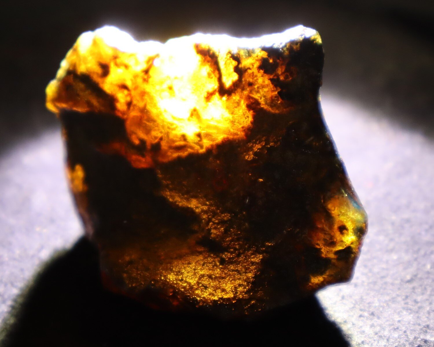 Beautiful Natural Dominican Translucent Deep Blue Amber Rough Specimen 44mm 17.3 – photo 6