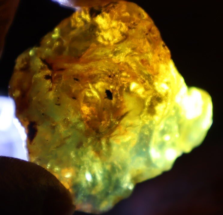 Natural Dominican Crystal Clear Light Blue Amber Rough Specimen 48mm 20.1g – photo 7