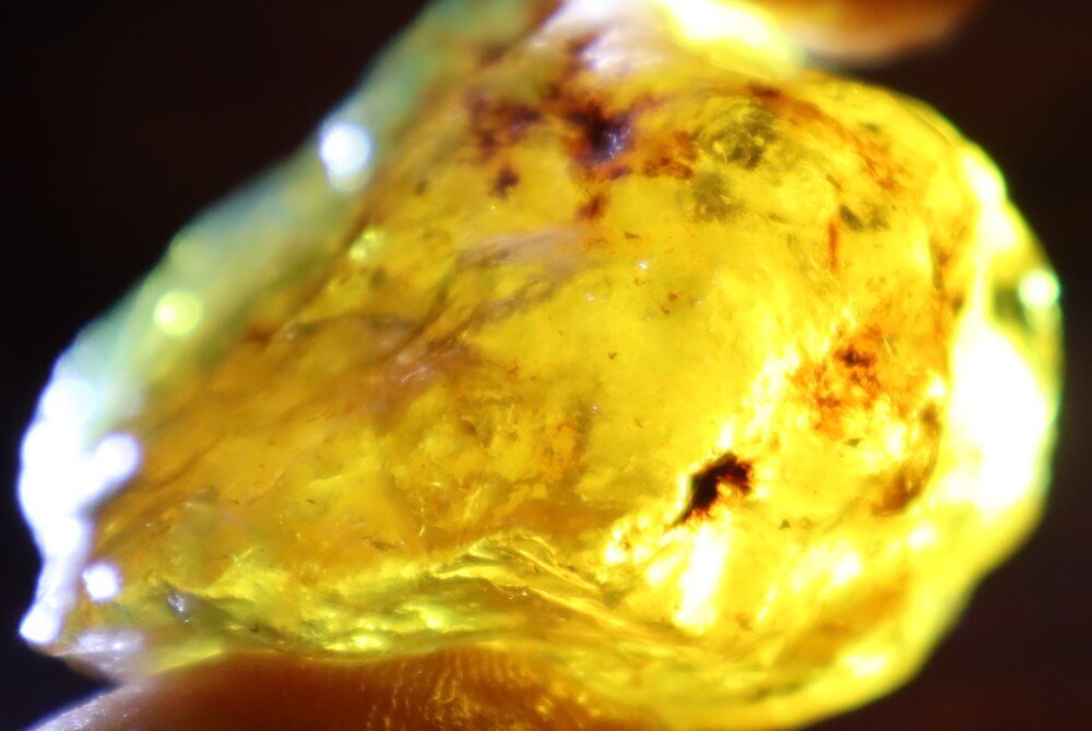 Natural Dominican Crystal Clear Light Blue Amber Rough Specimen 48mm 20.1g – photo 9