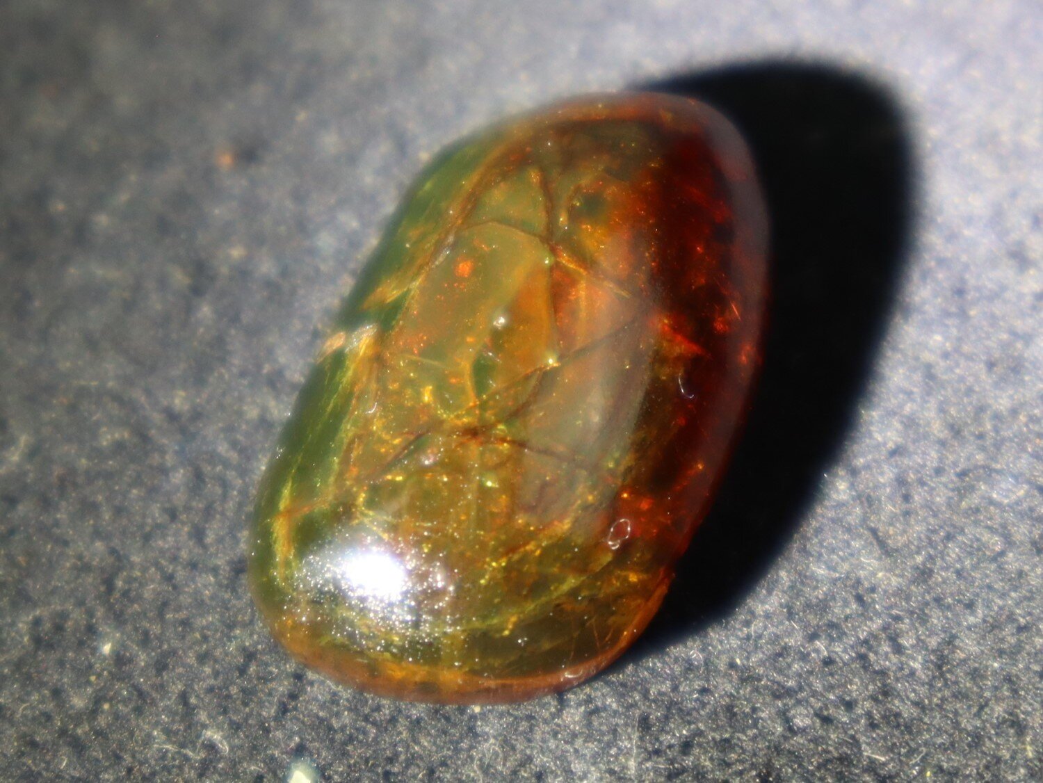 Natural Dominican Translucent Green Yellow Amber Polished Cabochon 23mm – photo 7