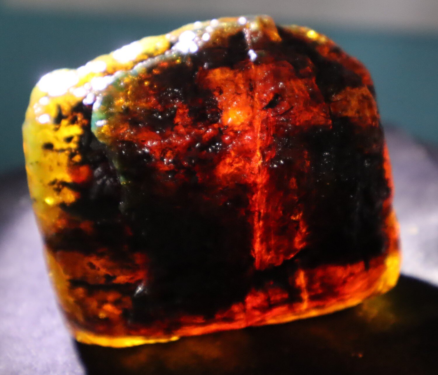 Natural Dominican Translucent Cognac Green Amber Rough Specimen 61mm 73.3g – photo 8