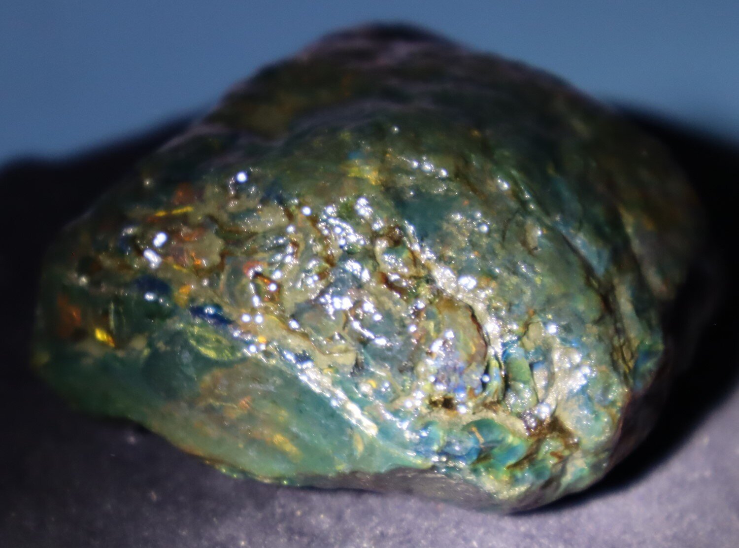 Natural Dominican Translucent Cognac Green Amber Rough Specimen 61mm 73.3g – photo 12