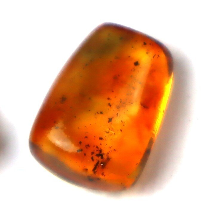 Premium Dominican Amber Multiple Fossil with Insect Inclusions – photo 8